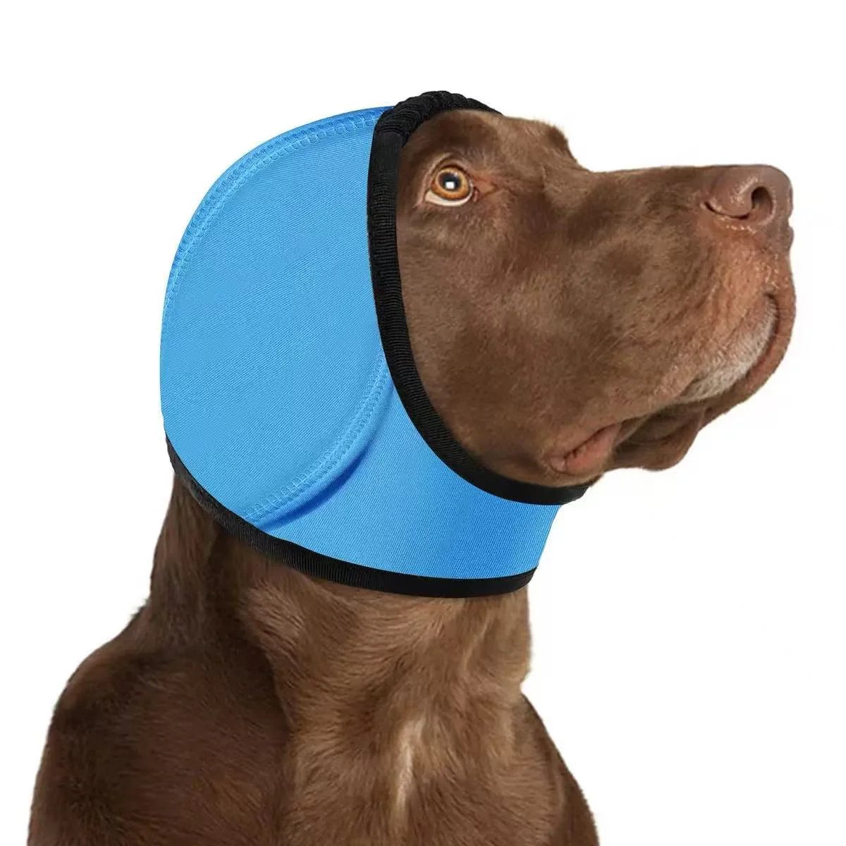 No More Shivering from Thunder & Dryers! ❤️ Dailyard Dog Calming Ear Wrap for Instant Anxiety Relief