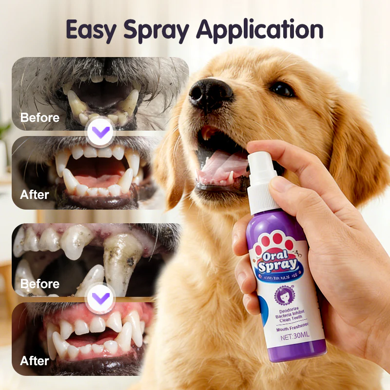 Daily Pet Dental Spray — Safe, Easy, Fresh Breath in Seconds