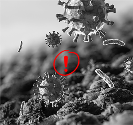 Toxic Residues  Near Family