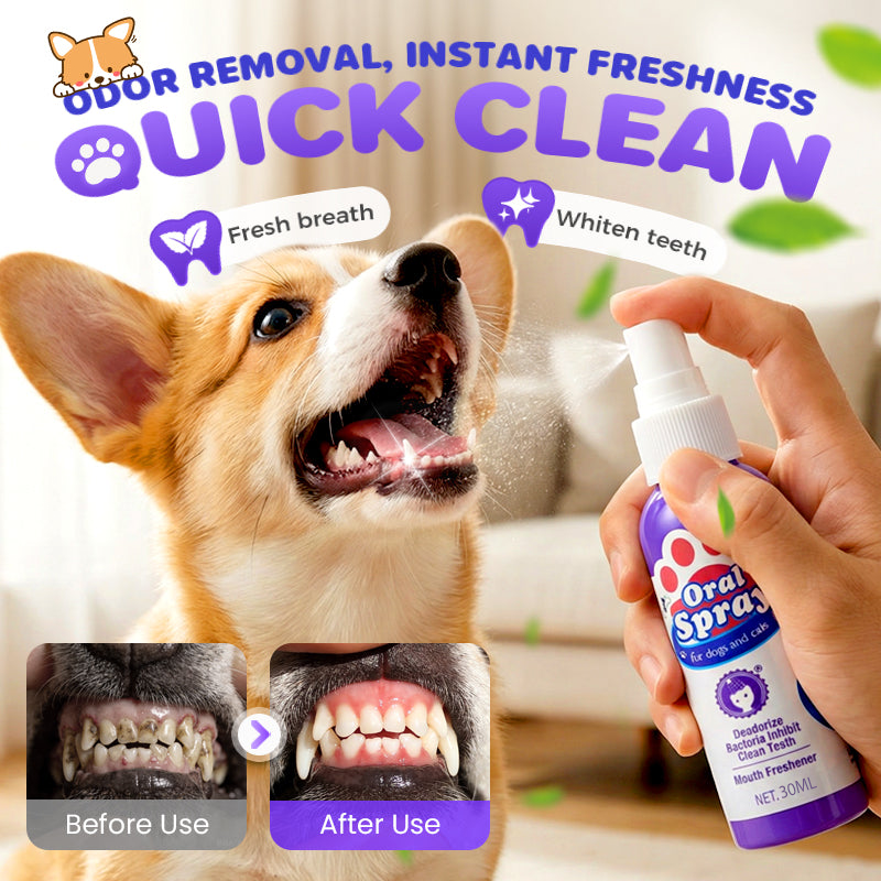 Daily Pet Dental Spray — Safe, Easy, Fresh Breath in Seconds