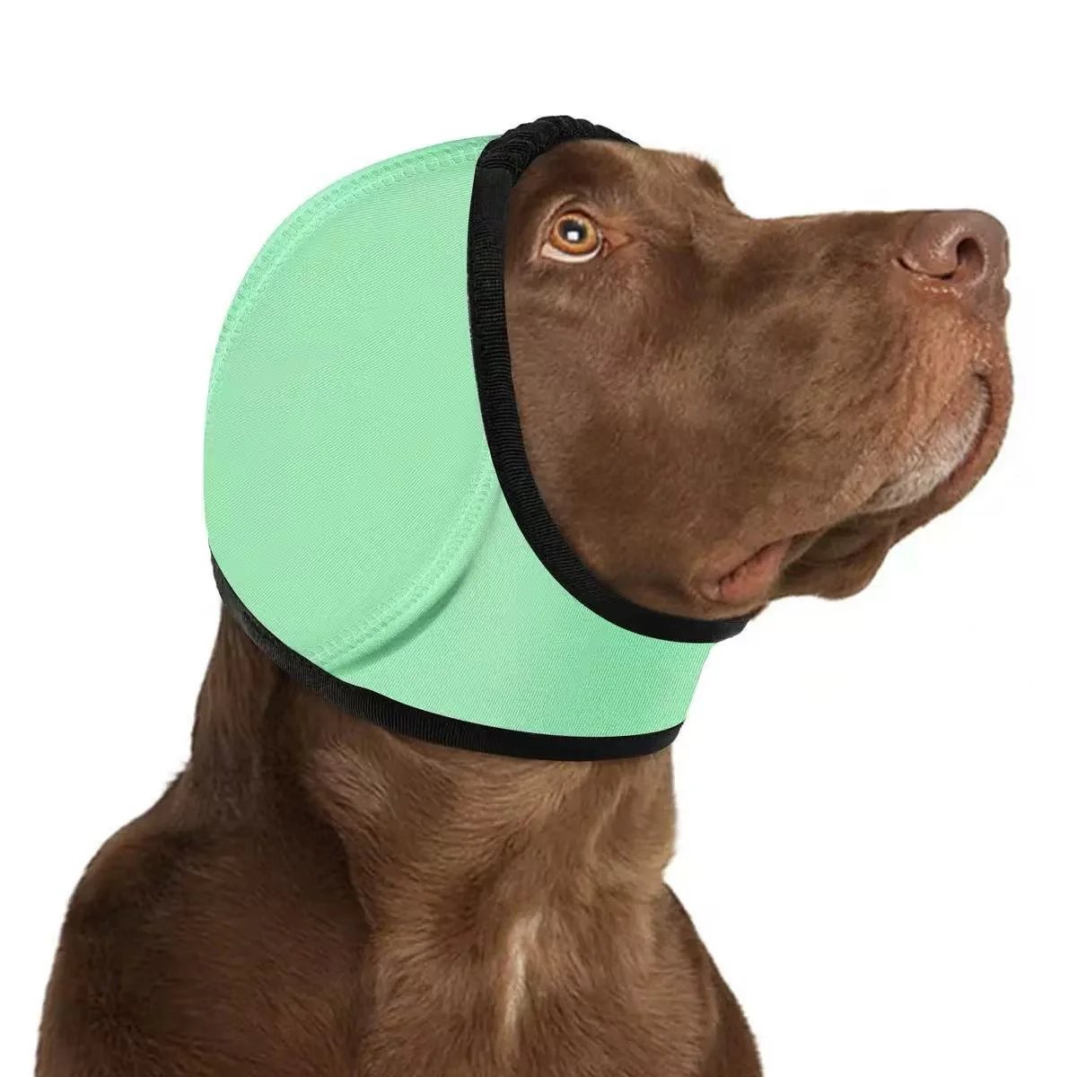 No More Shivering from Thunder & Dryers! ❤️ Dailyard Dog Calming Ear Wrap for Instant Anxiety Relief