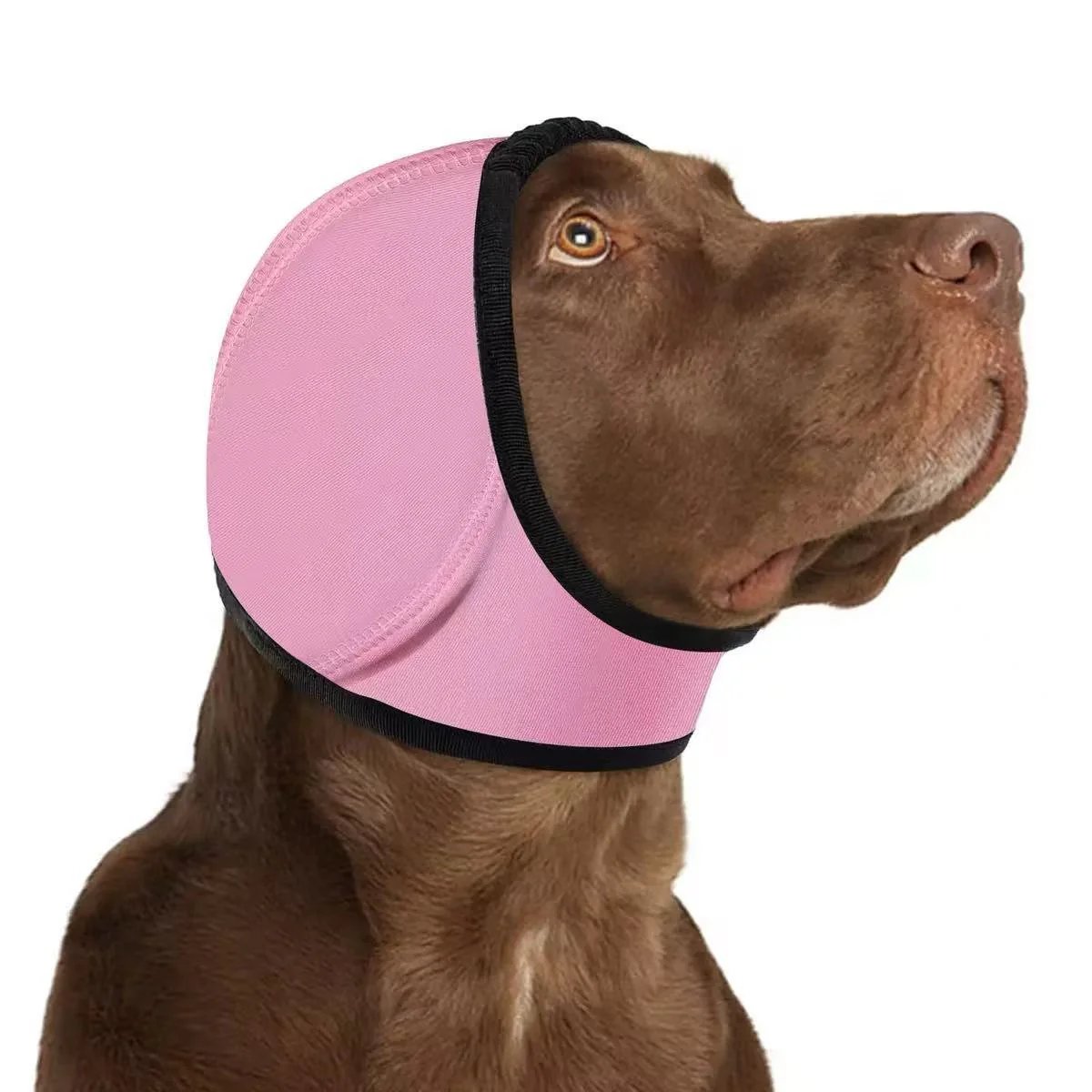 No More Shivering from Thunder & Dryers! ❤️ Dailyard Dog Calming Ear Wrap for Instant Anxiety Relief