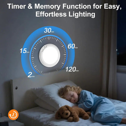 Magnetic Motion Sensor Ceiling Light