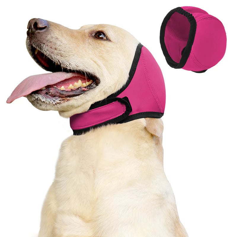 No More Shivering from Thunder & Dryers! ❤️ Dailyard Dog Calming Ear Wrap for Instant Anxiety Relief
