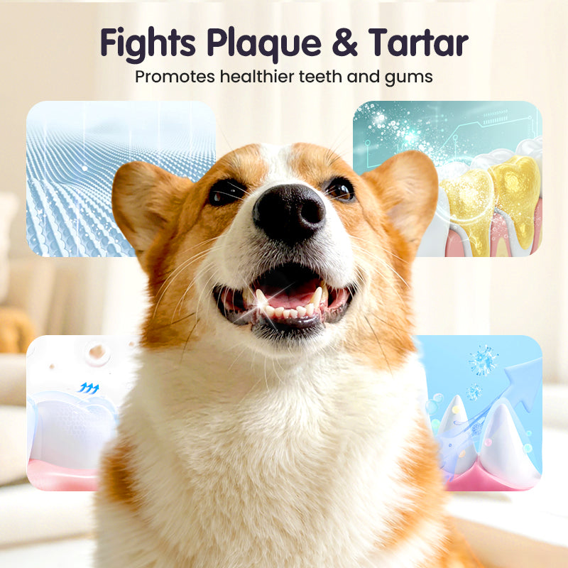 Daily Pet Dental Spray — Safe, Easy, Fresh Breath in Seconds