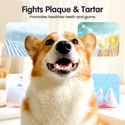 Daily Pet Dental Spray — Safe, Easy, Fresh Breath in Seconds