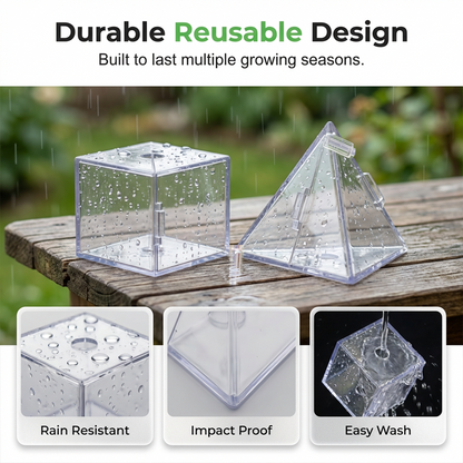 New product limited-time promotion⏰-Transparent Garden Fruit Shaper | Fun Backyard Magic