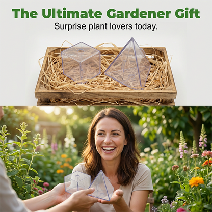 New product limited-time promotion⏰-Transparent Garden Fruit Shaper | Fun Backyard Magic